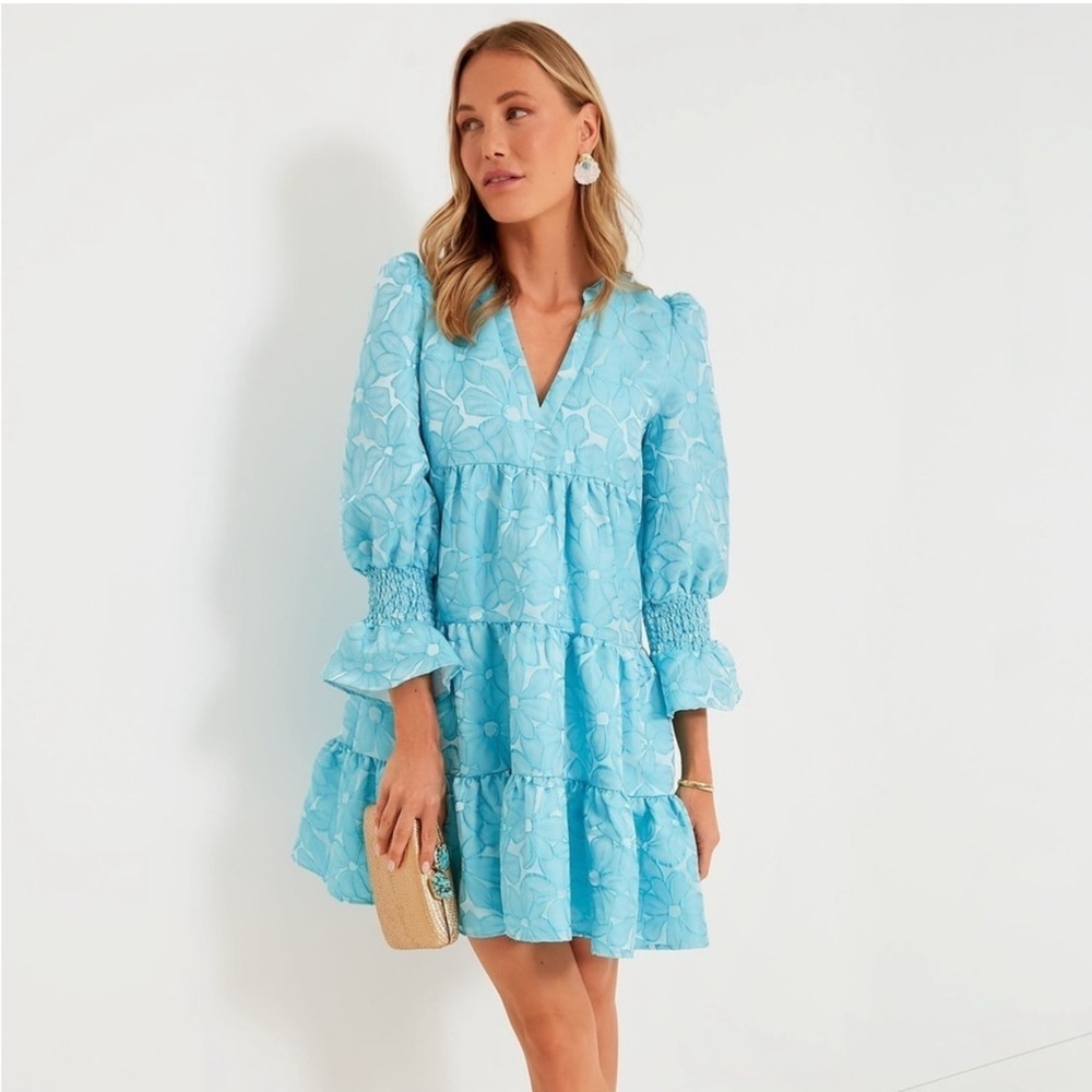 POMANDER PLACE Blue Daisy Jacquard Kenzo Dress by Tuckernuck! Size Large